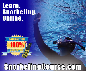 SnorkelingCourse.com
